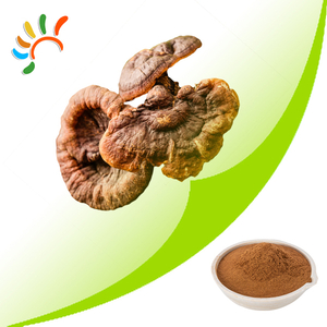 Reishi mushroom extract