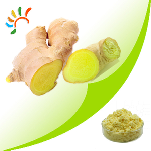 Ginger extract