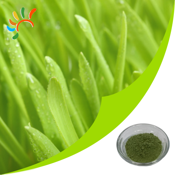Barley Grass powder