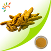 Turmeric extract