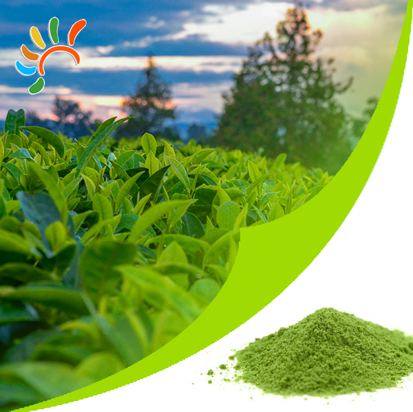 Matcha powder
